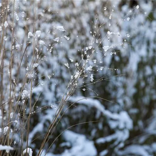 Den Garten winterfest machen