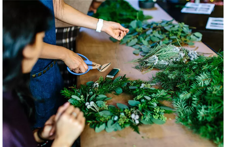 Gartentipps im November