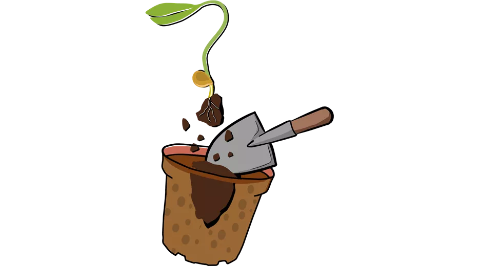 Tomate_Illu-3.png
